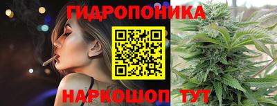 Альфа ПВП Обь