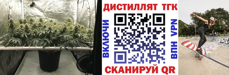 где продают   Лобня  hydra сайт  Дистиллят ТГК THC oil 