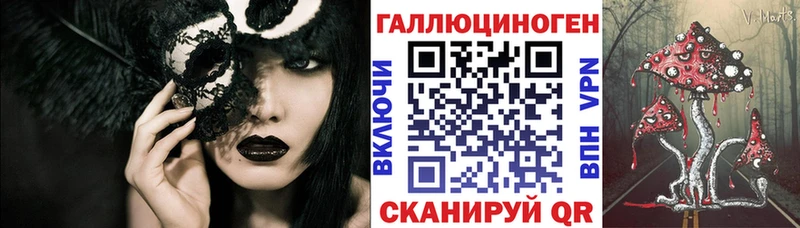 как найти   Лобня  Галлюциногенные грибы Psilocybe 
